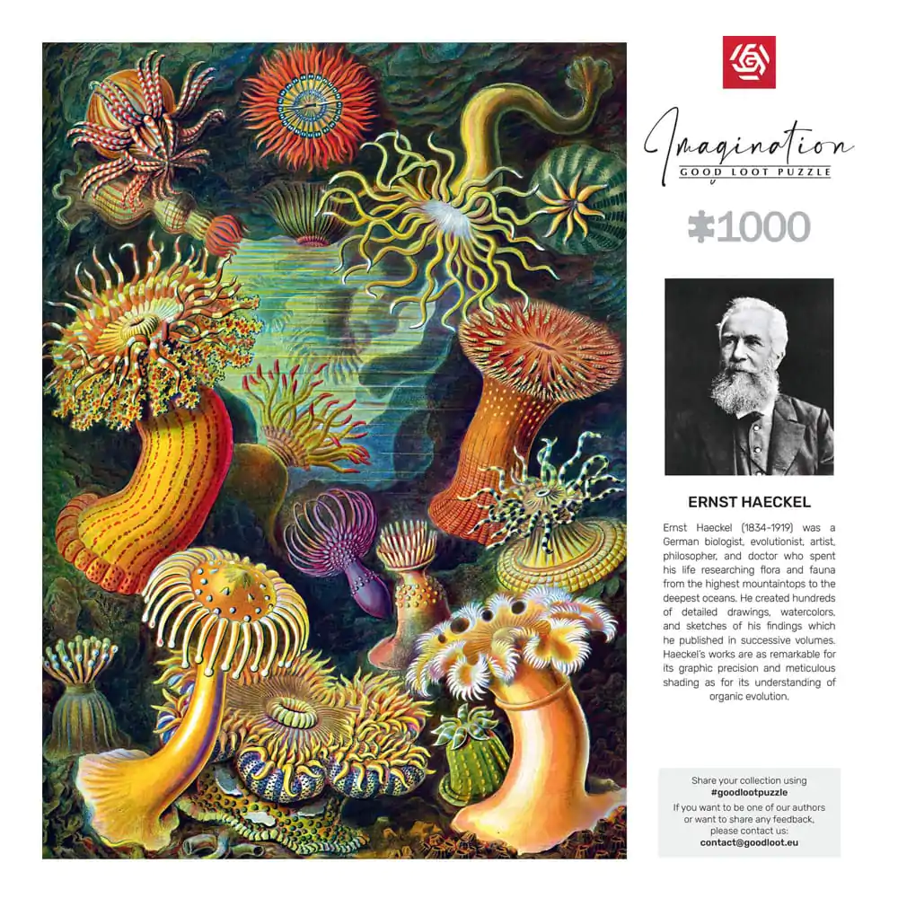 Ernst Haeckel Imagination Puzzle Morske vetrnice/Stworzenia morskie (1000 kosov) fotografija izdelka