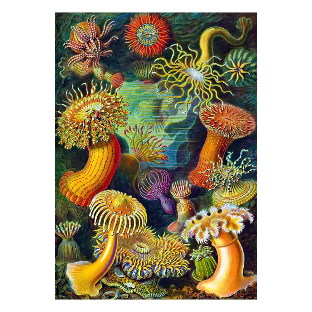 Ernst Haeckel Imagination Puzzle Morske vetrnice/Stworzenia morskie (1000 kosov) fotografija izdelka