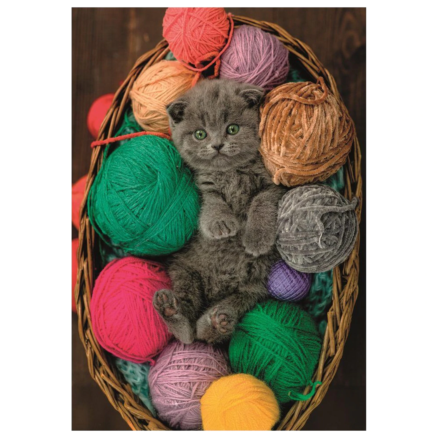 Fluffy Kitten sestavljanka 500 kosov fotografija izdelka