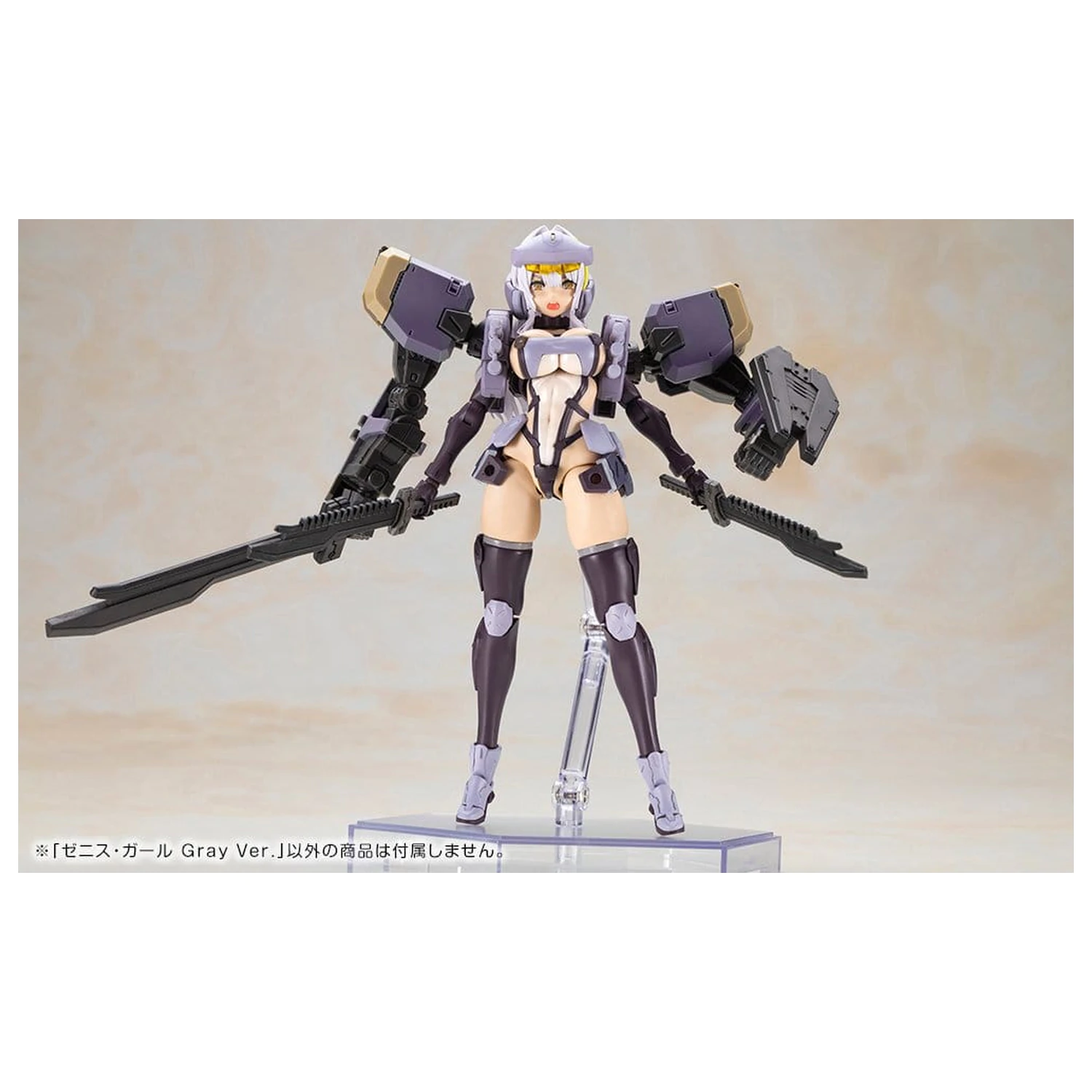 Front Mission Plastic Model Non Zenith Girl Gray Ver. 16 cm fotografija izdelka