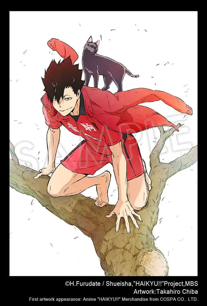 Haikyu!! ARTFXJ Kip 1/8 Tetsuro Kuroo 24 cm fotografija izdelka