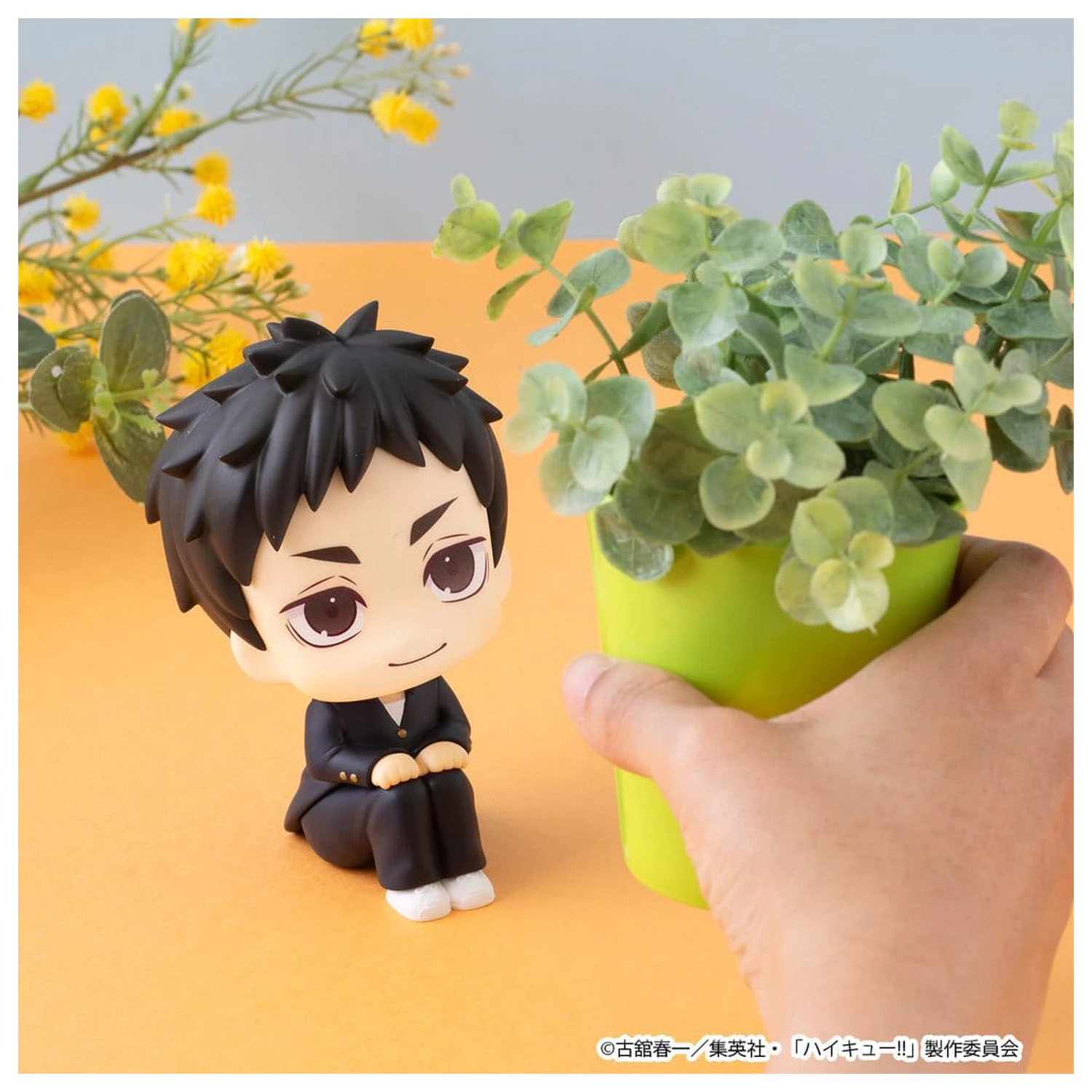Haikyu!! Look Up PVC Figurici 2-Pack Daichi Sawamura & Koushi Sugawara 11 cm (z darilom) fotografija izdelka