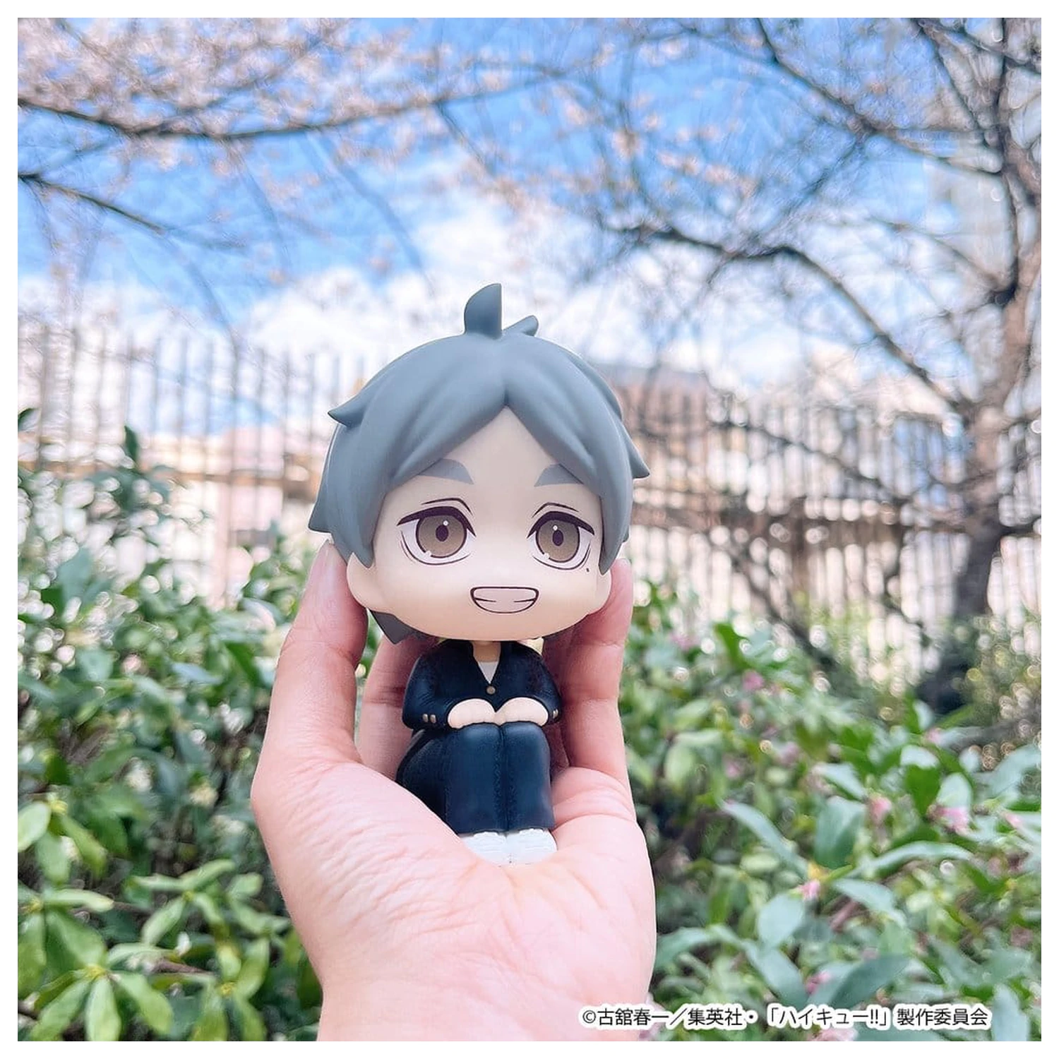 Haikyu!! Look Up PVC Figurici 2-Pack Daichi Sawamura & Koushi Sugawara 11 cm (z darilom) fotografija izdelka