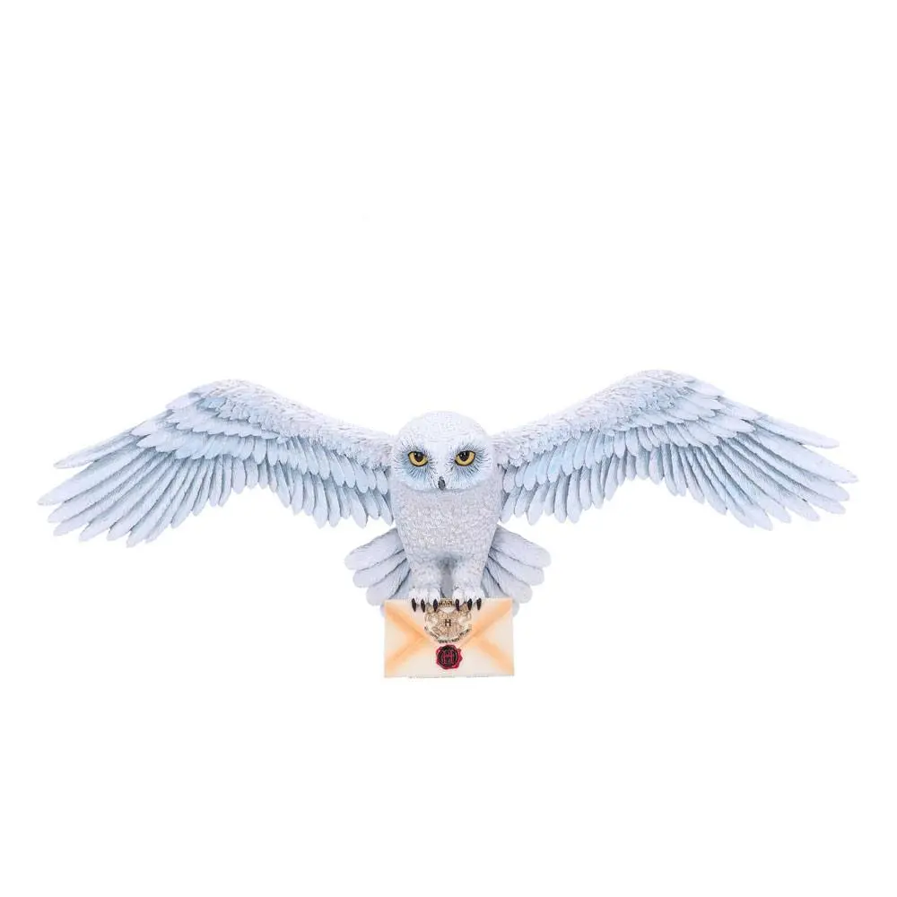 Harry Potter stenska plaketa Hedwig 45 cm fotografija izdelka