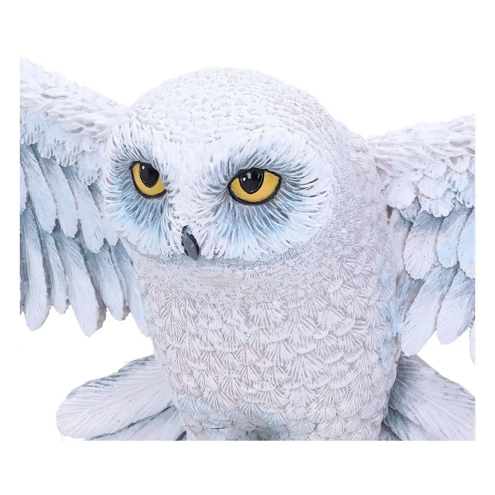 Harry Potter stenska plaketa Hedwig 45 cm fotografija izdelka