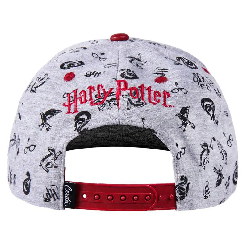 Harry Potter kapa s ščitnikom Snapback Hogwarts fotografija izdelka