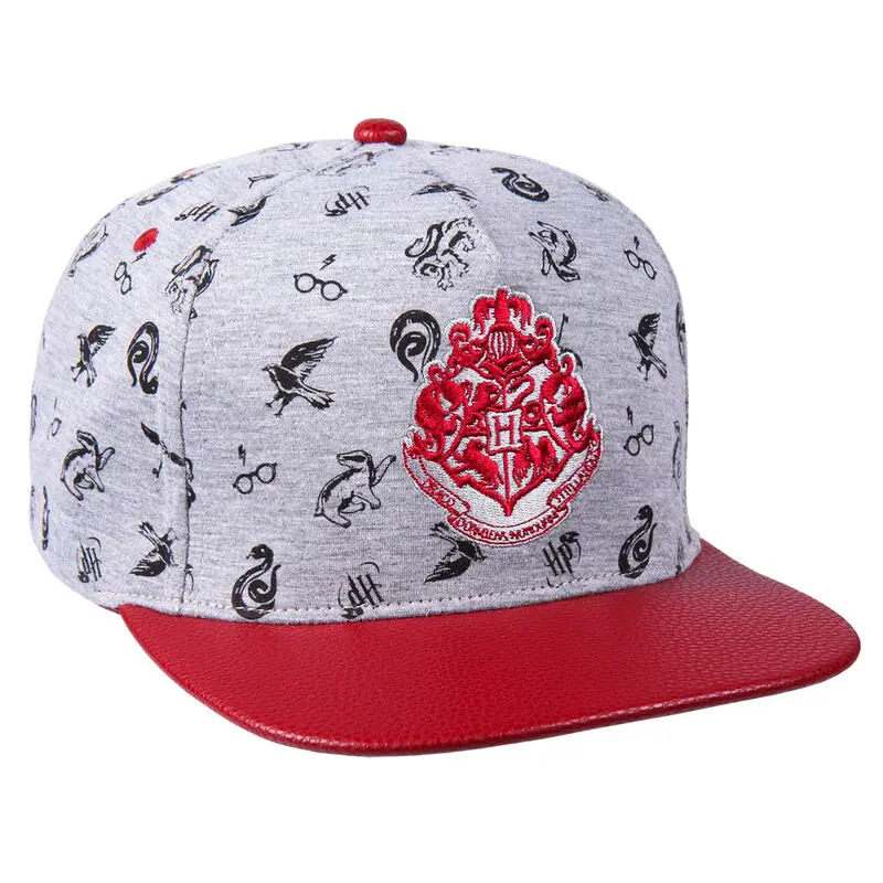Harry Potter kapa s ščitnikom Snapback Hogwarts fotografija izdelka