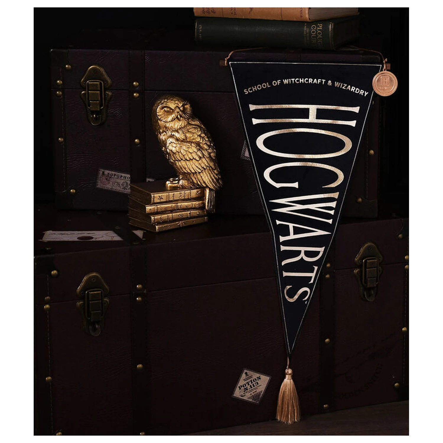 Harry Potter Hogwarts viseči transparent fotografija izdelka