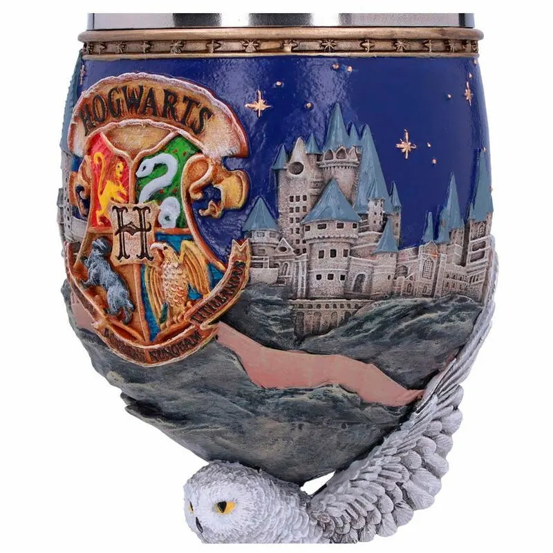 Harry Potter Goblet Bradavičarka kozarec fotografija izdelka