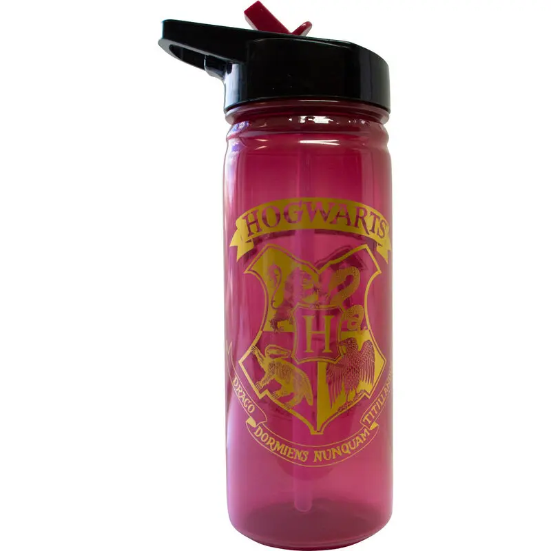 Harry Potter Hogwarts steklenica 600ml fotografija izdelka