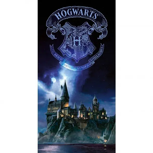 Harry Potter Hogwarts stekleni poster fotografija izdelka