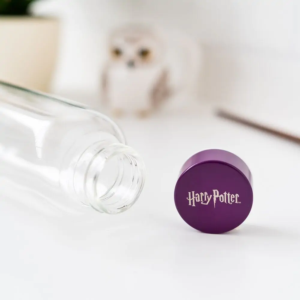 Harry Potter Hogwarts steklenica 500 ml fotografija izdelka