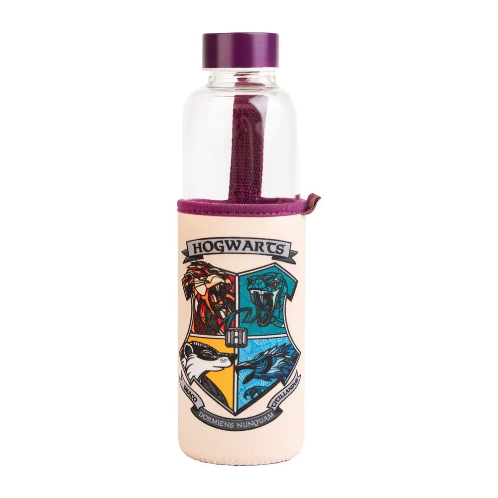 Harry Potter Hogwarts steklenica 500 ml fotografija izdelka