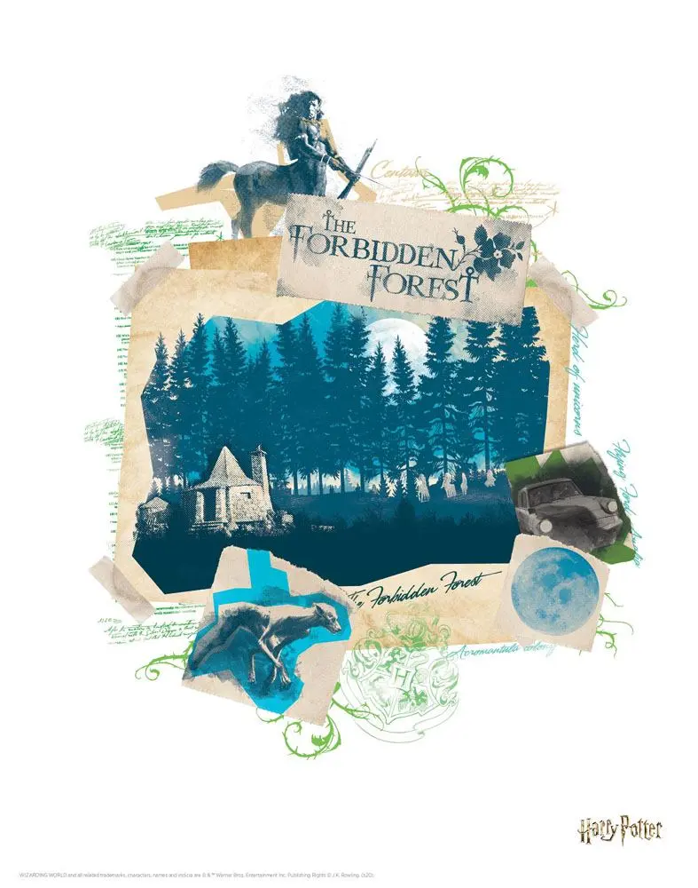 Harry Potter komplet litografij 10-kosov 36 x 28 cm fotografija izdelka