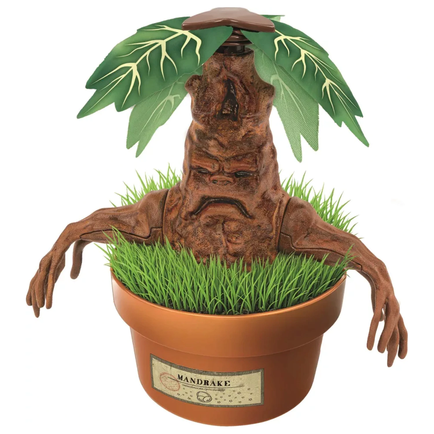 Harry Potter Mandrake komplet za izdelavo modela fotografija izdelka