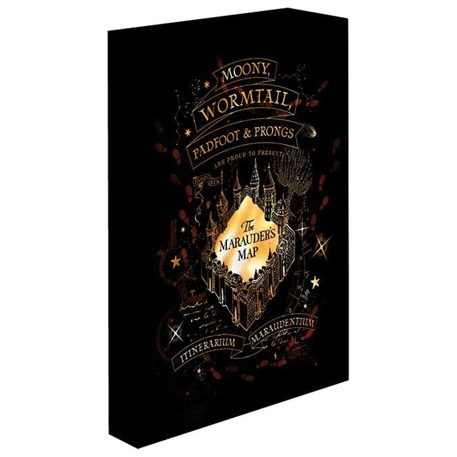 Harry Potter Marauders Map platno s svetlobo 40X30 cm fotografija izdelka