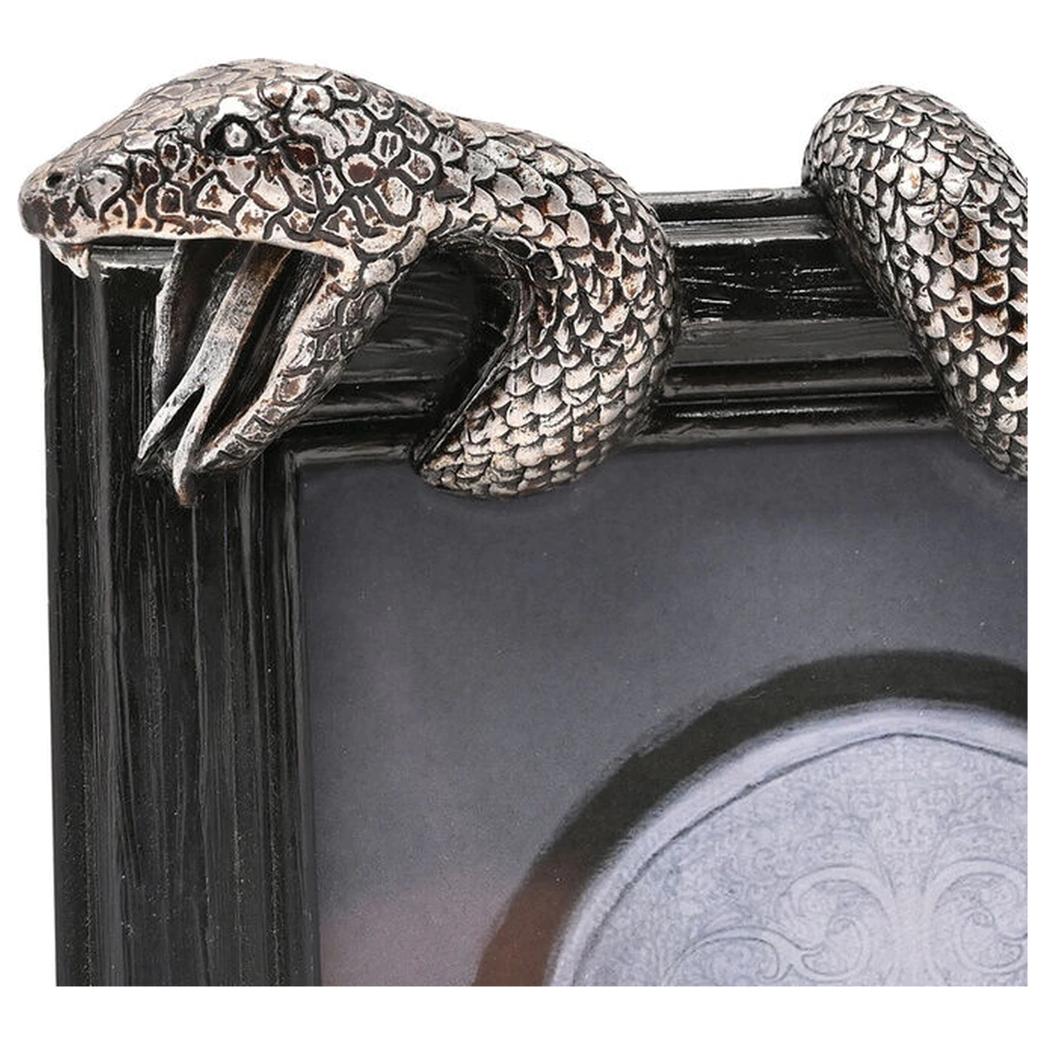 Harry Potter Nagini foto okvir fotografija izdelka
