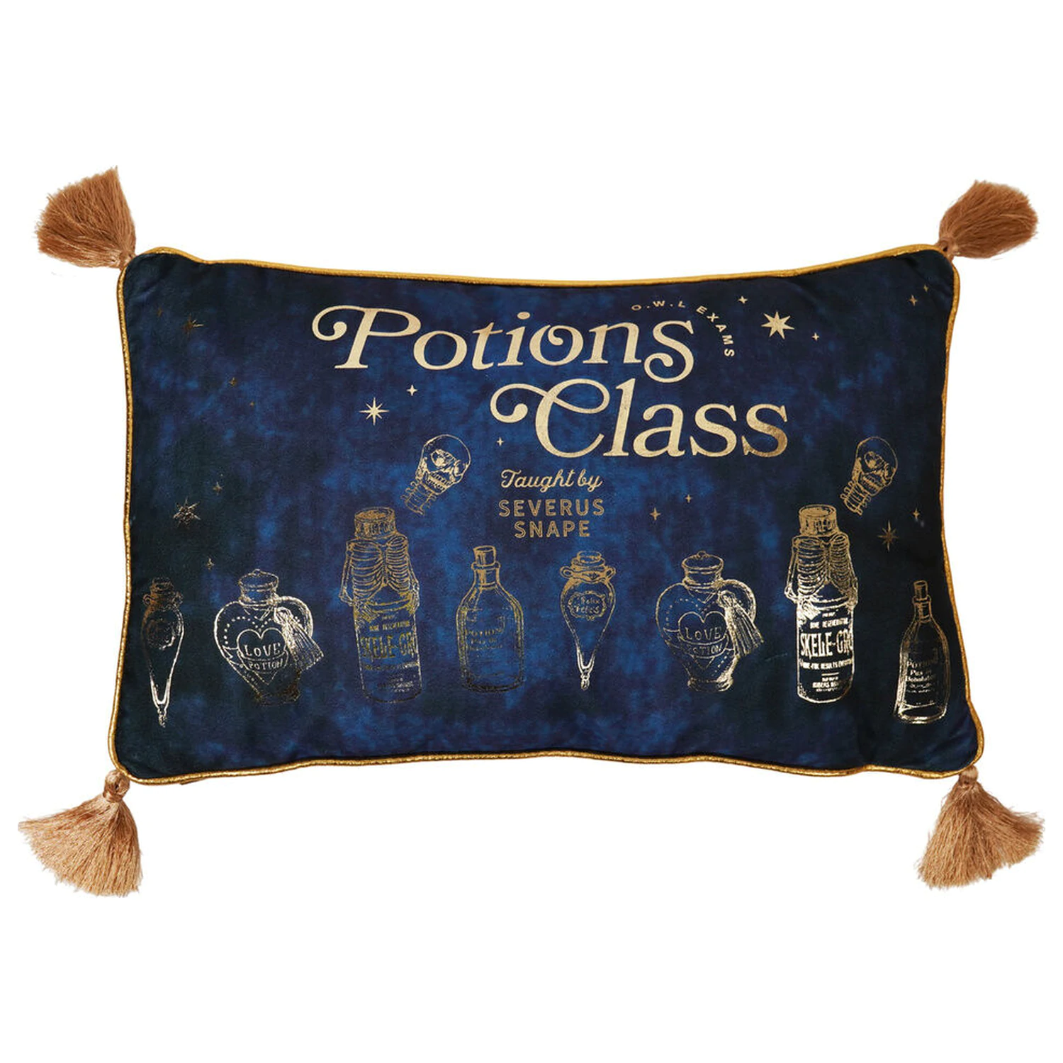 Harry Potter Potions Class žametna blazina fotografija izdelka