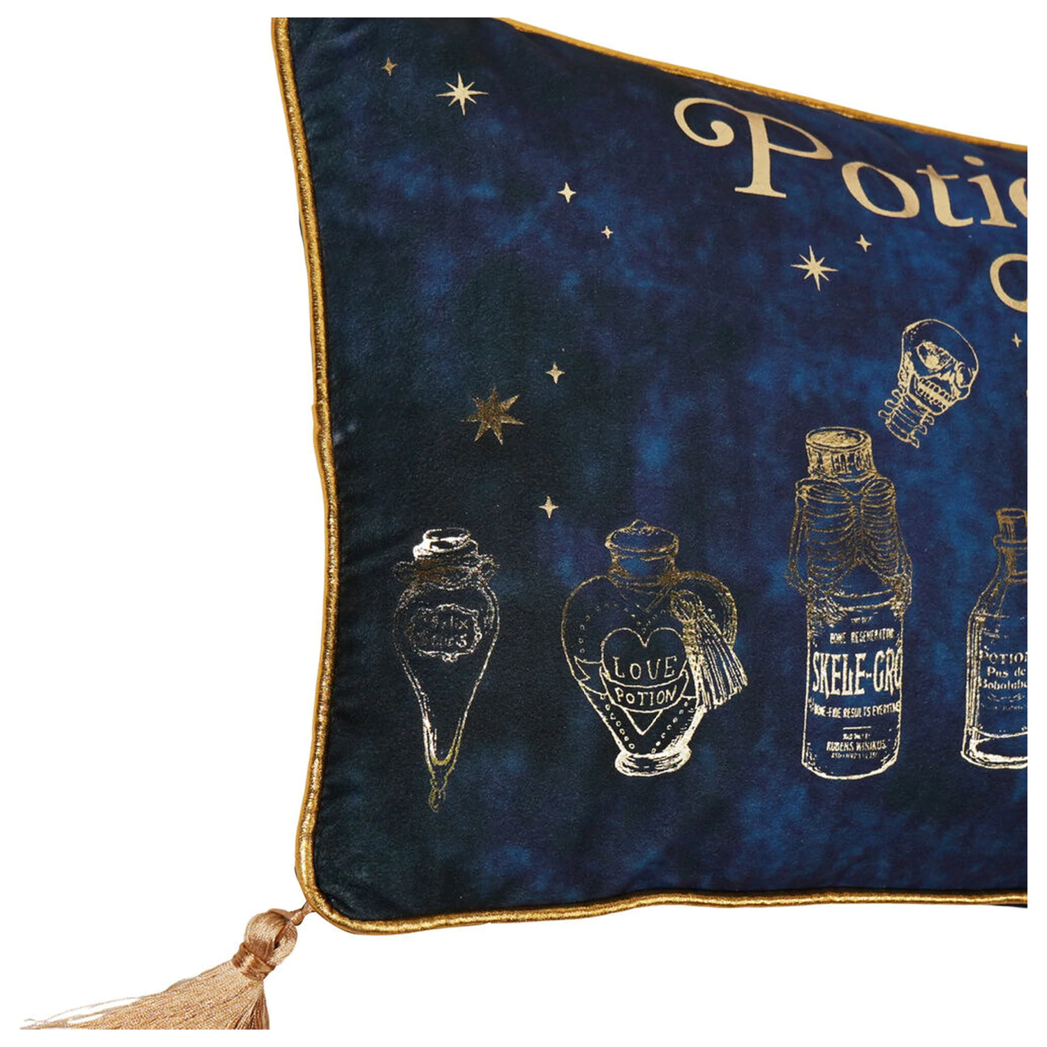 Harry Potter Potions Class žametna blazina fotografija izdelka