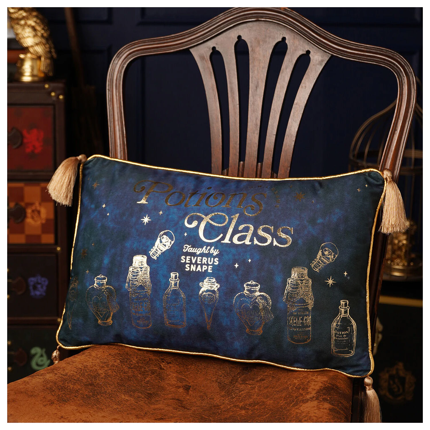 Harry Potter Potions Class žametna blazina fotografija izdelka