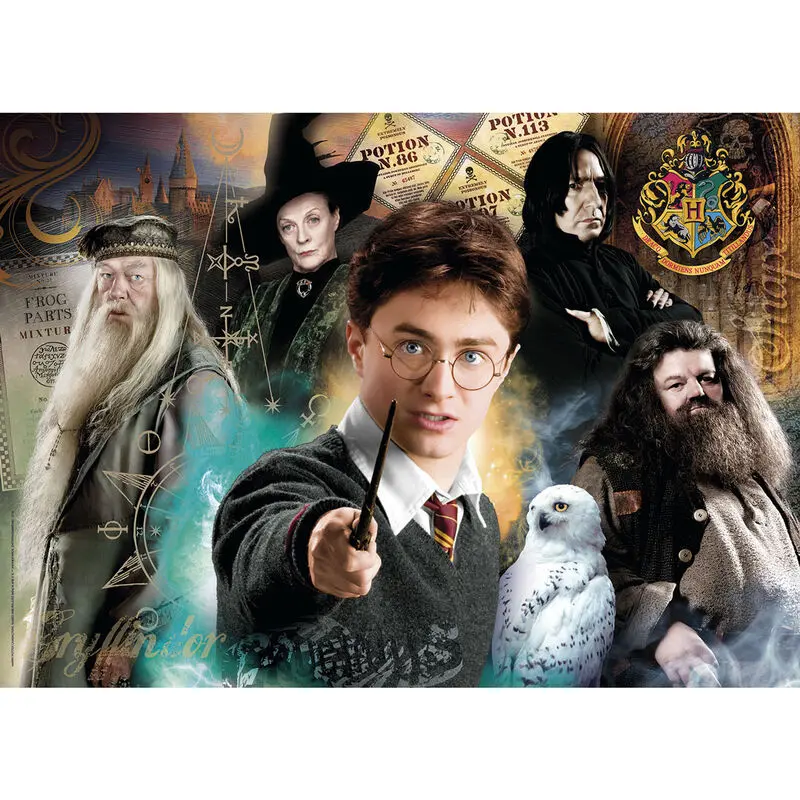 Harry Potter Jigsaw Puzzle Harry at Hogwarts (500 kosov) fotografija izdelka