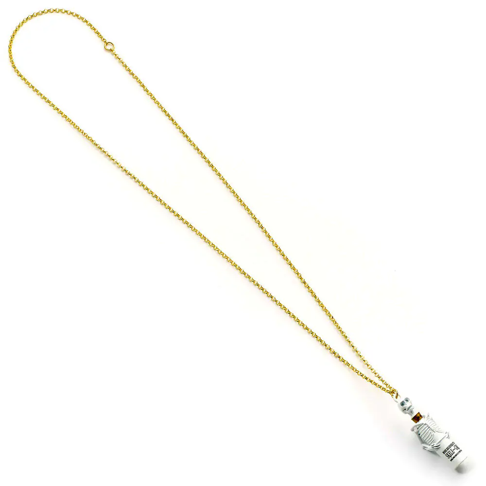 Harry Potter Skelegro ogrlica fotografija izdelka