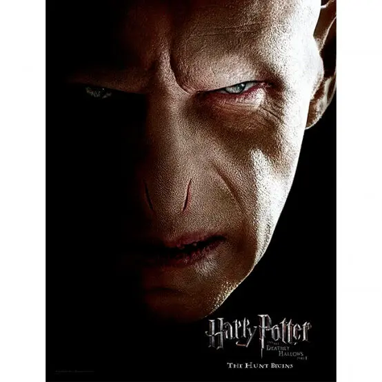 Harry Potter Voldemort Face stekleni poster fotografija izdelka