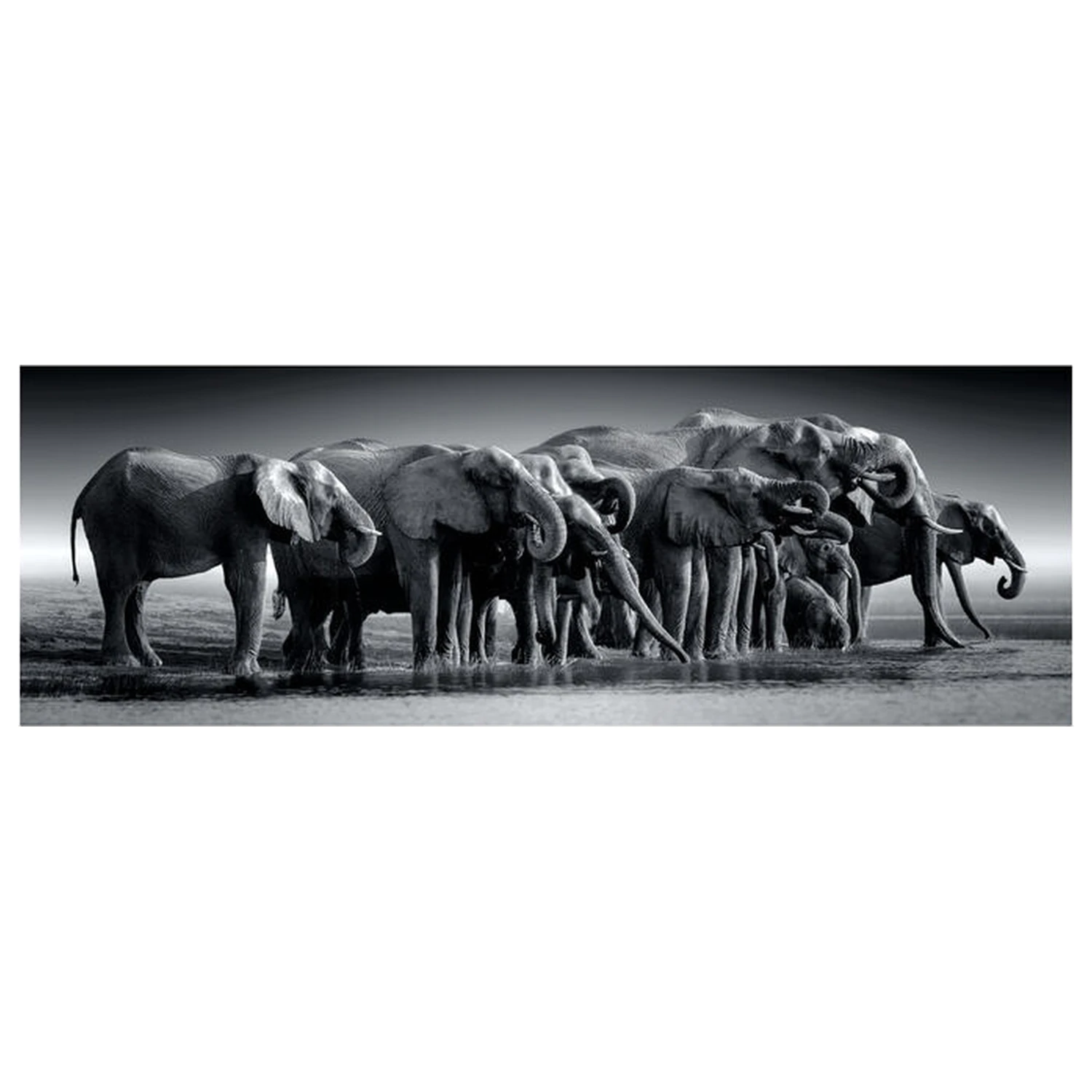 Herd of Giants Panoramska sestavljanka 1000 kosov fotografija izdelka