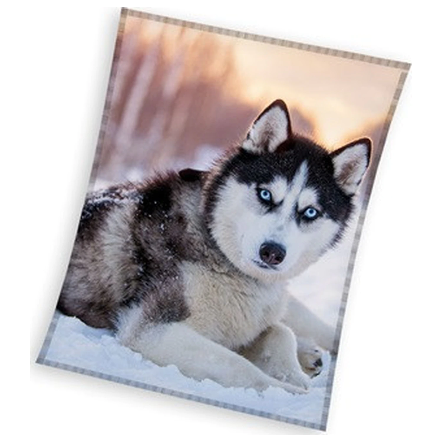 Husky flis odeja fotografija izdelka