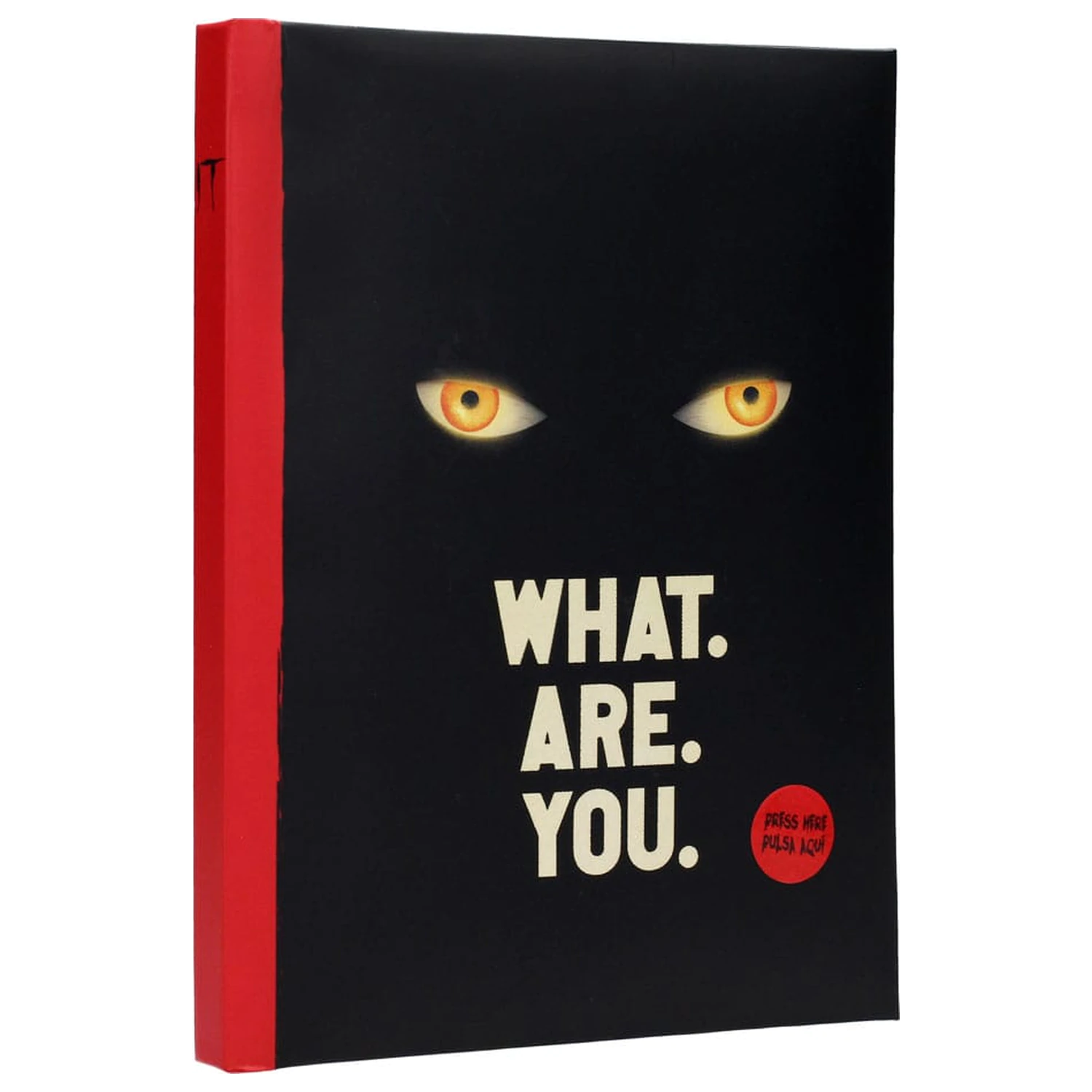 IT zvezek z lučko Kaj si ti fotografija izdelka