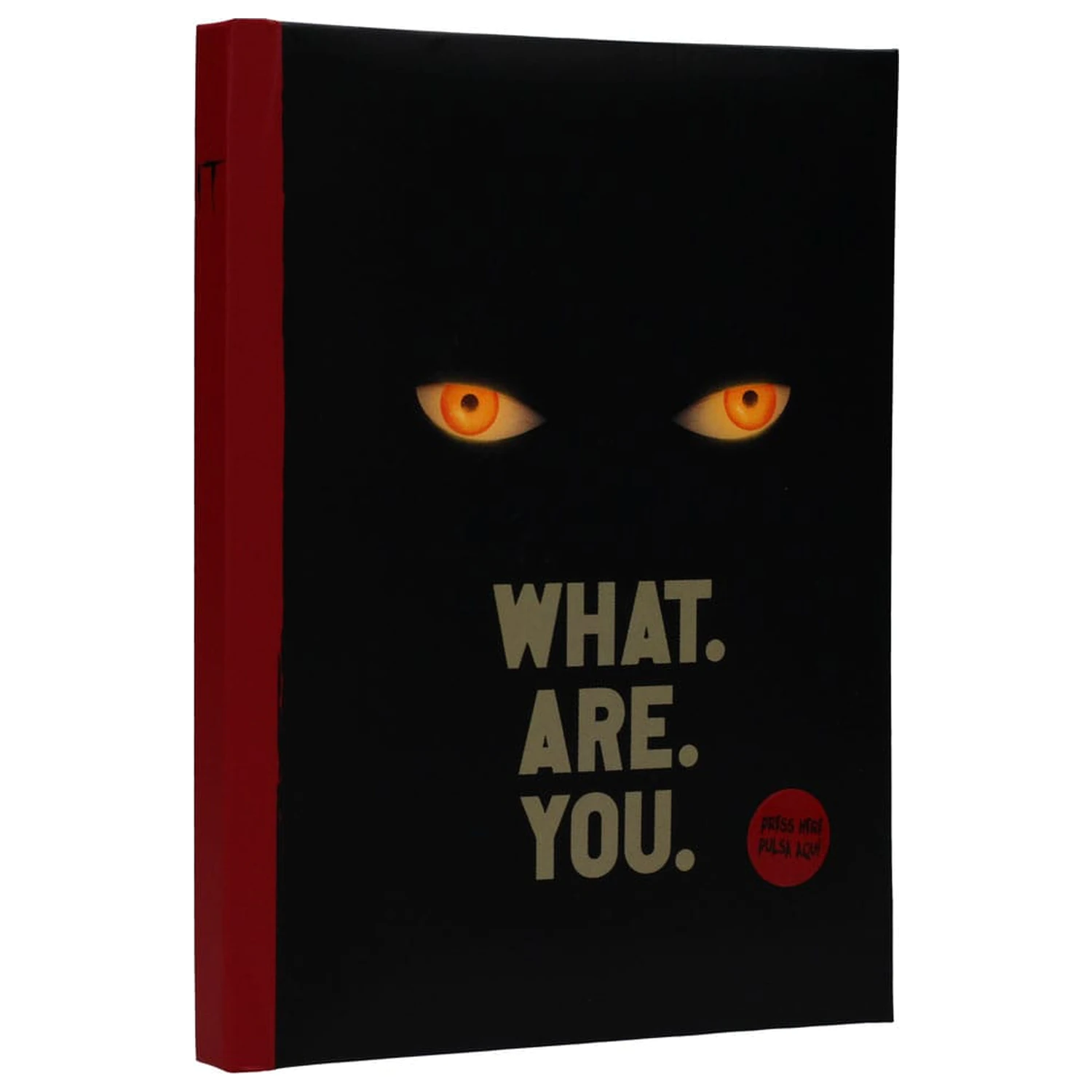 IT zvezek z lučko Kaj si ti fotografija izdelka