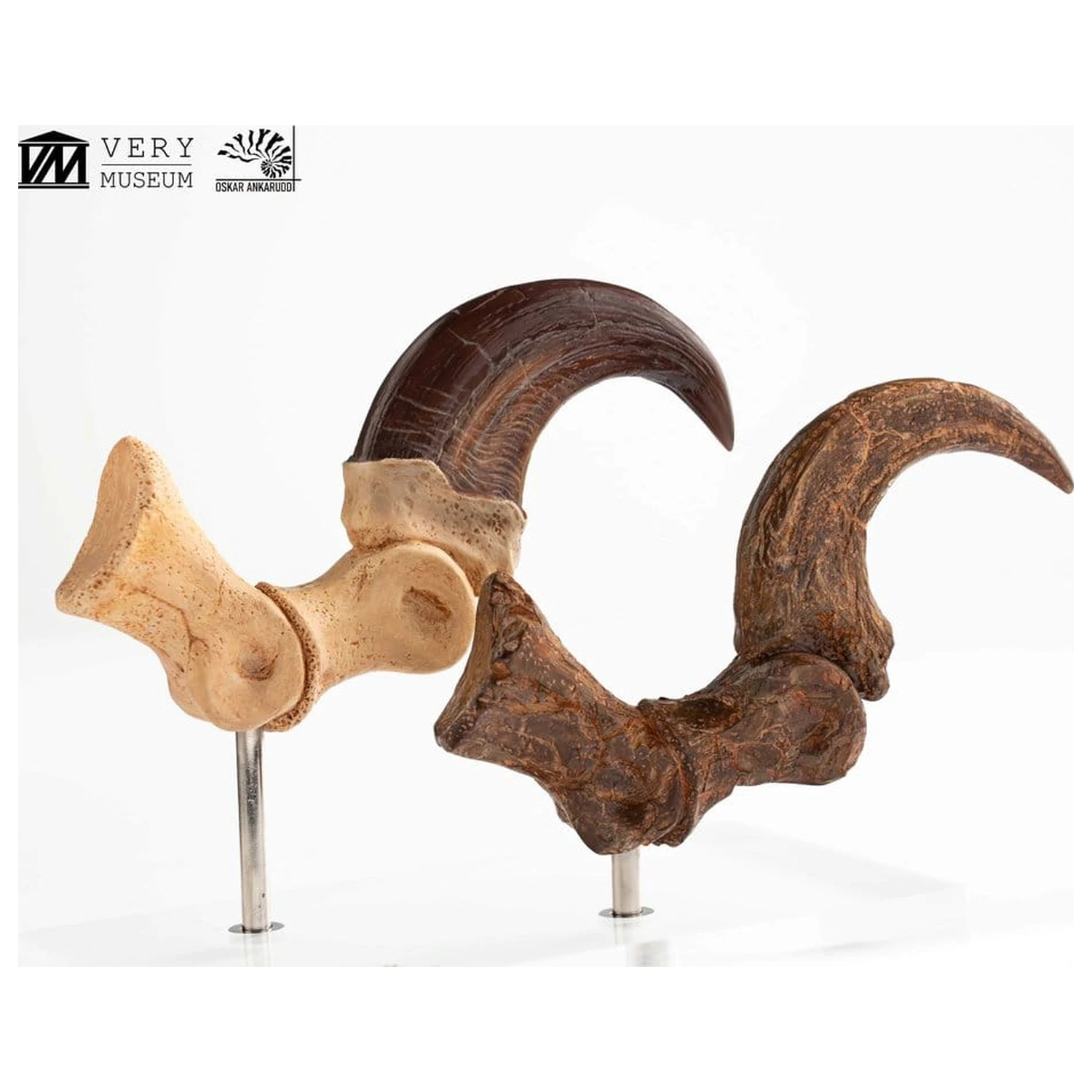 Jurassic Park ECC Elite Creature Line kip Velociraptor Foot Claw and Fossil Claw Set 20 cm fotografija izdelka