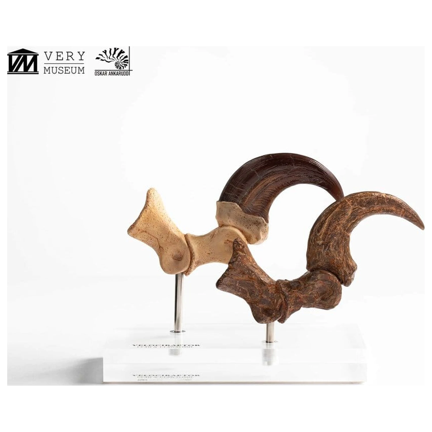 Jurassic Park ECC Elite Creature Line kip Velociraptor Foot Claw and Fossil Claw Set 20 cm fotografija izdelka