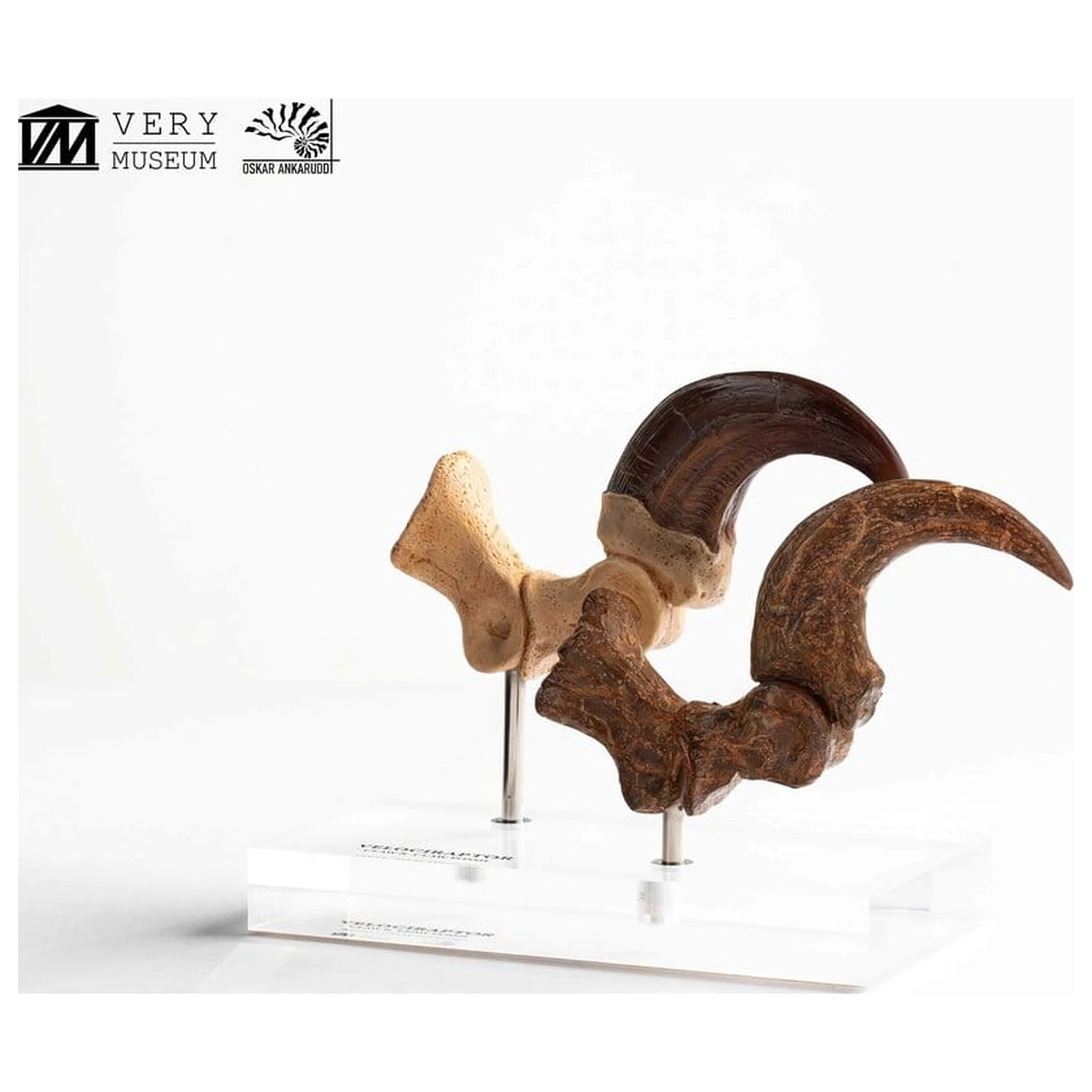 Jurassic Park ECC Elite Creature Line kip Velociraptor Foot Claw and Fossil Claw Set 20 cm fotografija izdelka