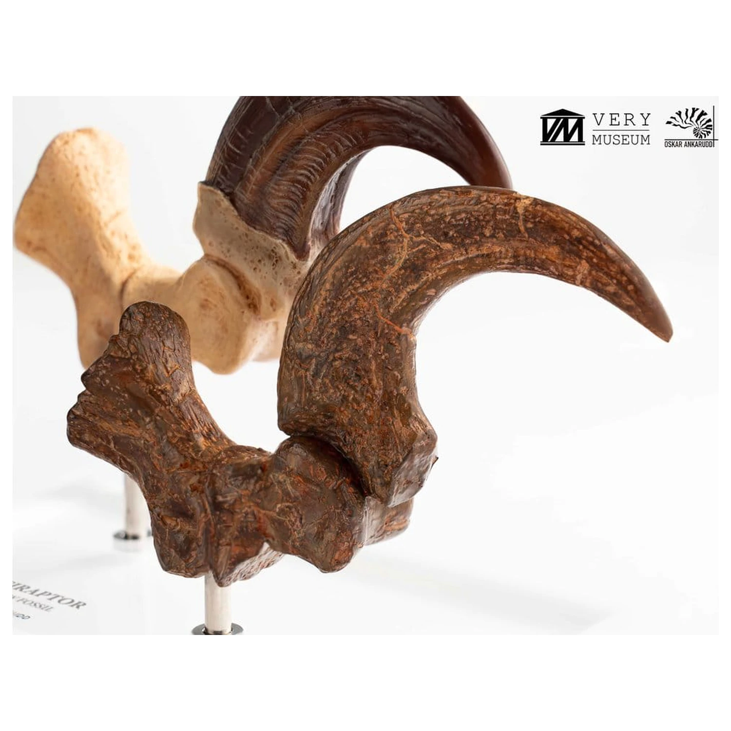 Jurassic Park ECC Elite Creature Line kip Velociraptor Foot Claw and Fossil Claw Set 20 cm fotografija izdelka