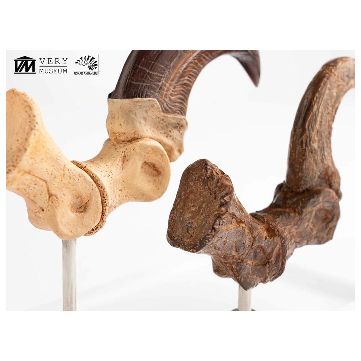 Jurassic Park ECC Elite Creature Line kip Velociraptor Foot Claw and Fossil Claw Set 20 cm fotografija izdelka