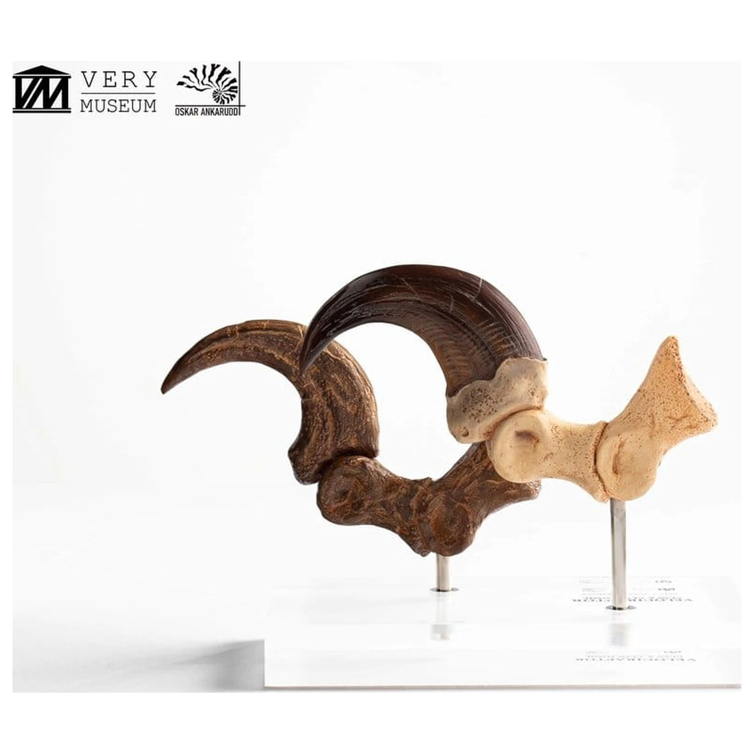 Jurassic Park ECC Elite Creature Line kip Velociraptor Foot Claw and Fossil Claw Set 20 cm fotografija izdelka