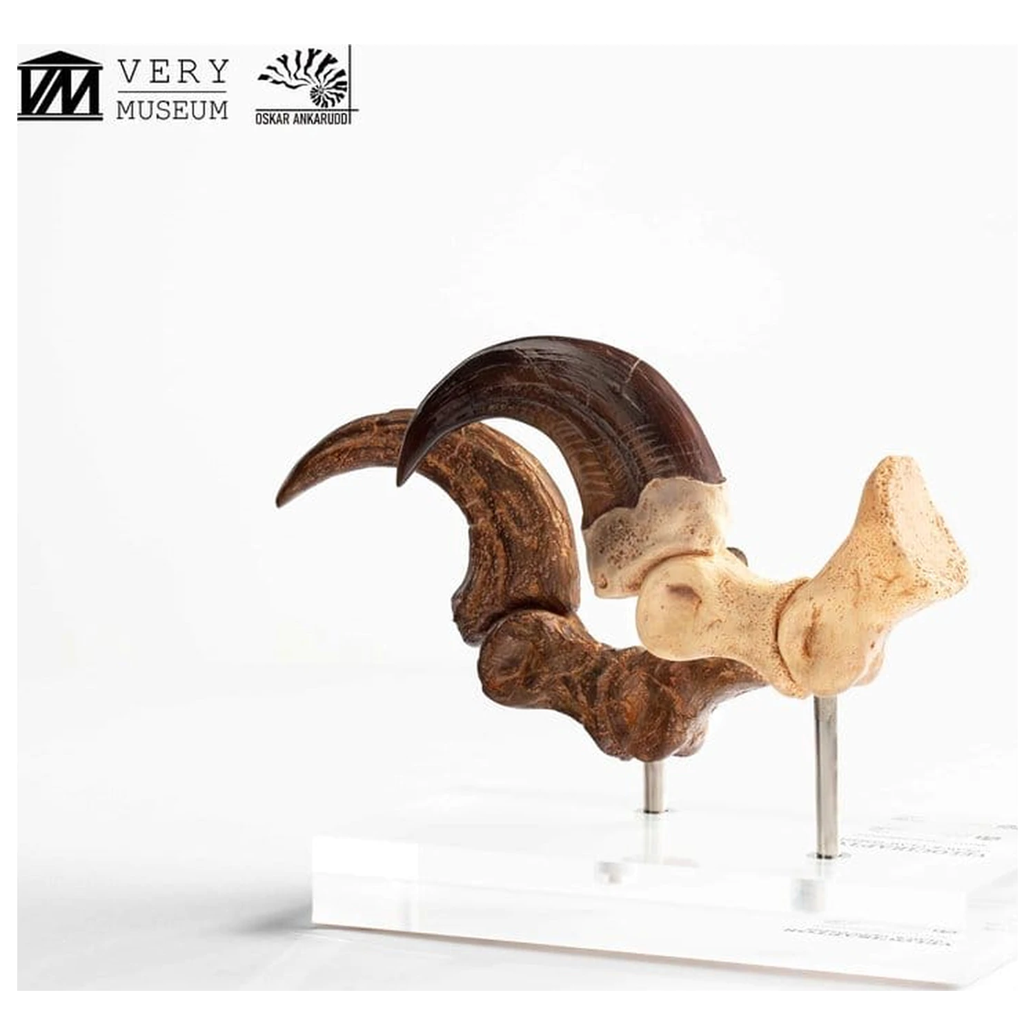 Jurassic Park ECC Elite Creature Line kip Velociraptor Foot Claw and Fossil Claw Set 20 cm fotografija izdelka