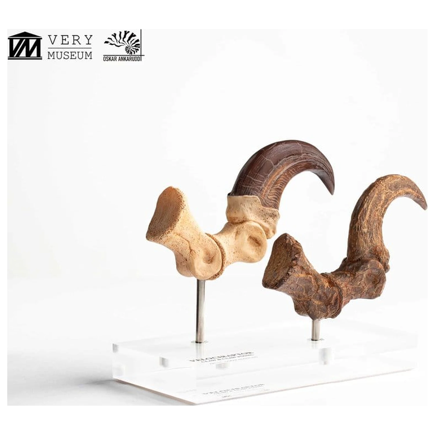 Jurassic Park ECC Elite Creature Line kip Velociraptor Foot Claw and Fossil Claw Set 20 cm fotografija izdelka