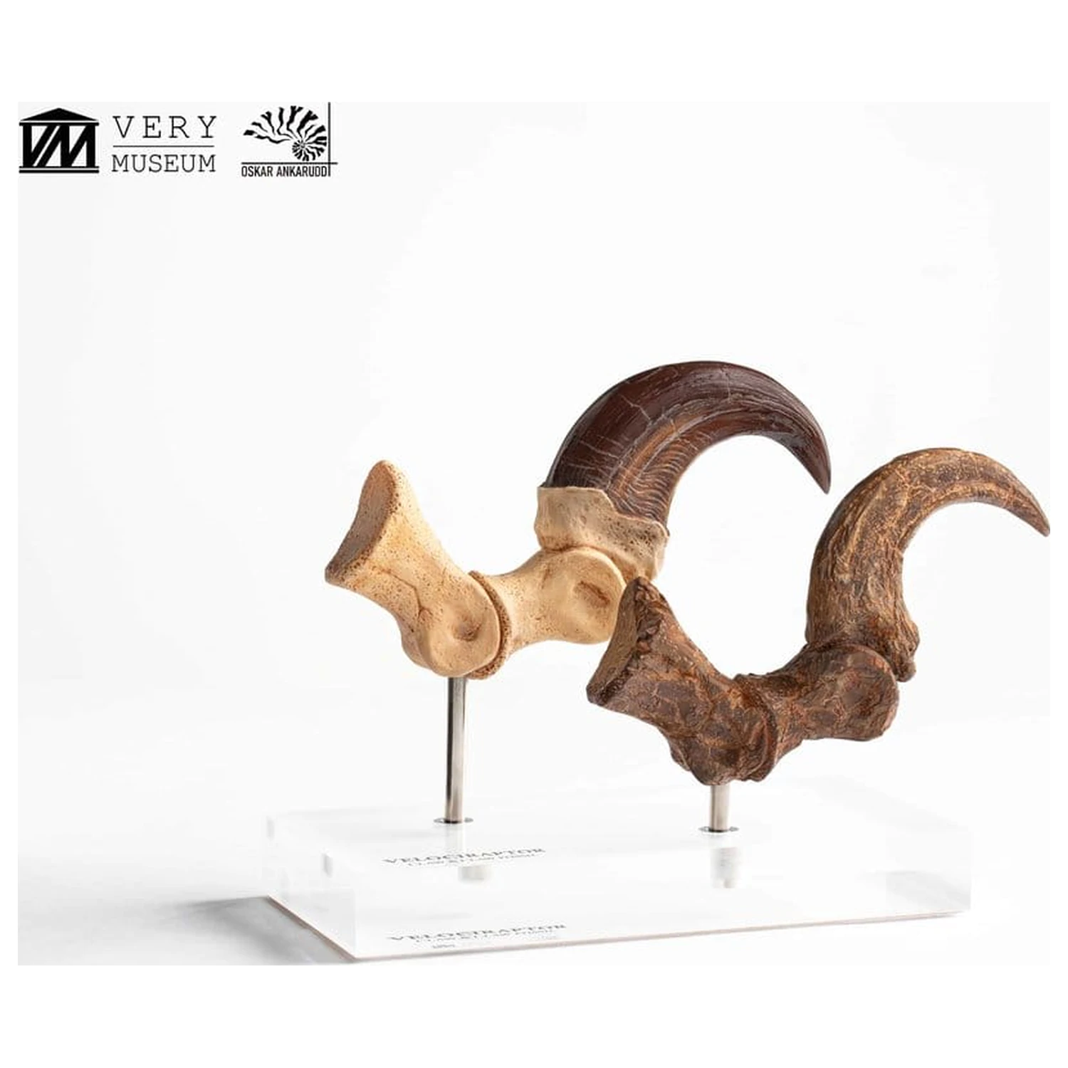 Jurassic Park ECC Elite Creature Line kip Velociraptor Foot Claw and Fossil Claw Set 20 cm fotografija izdelka