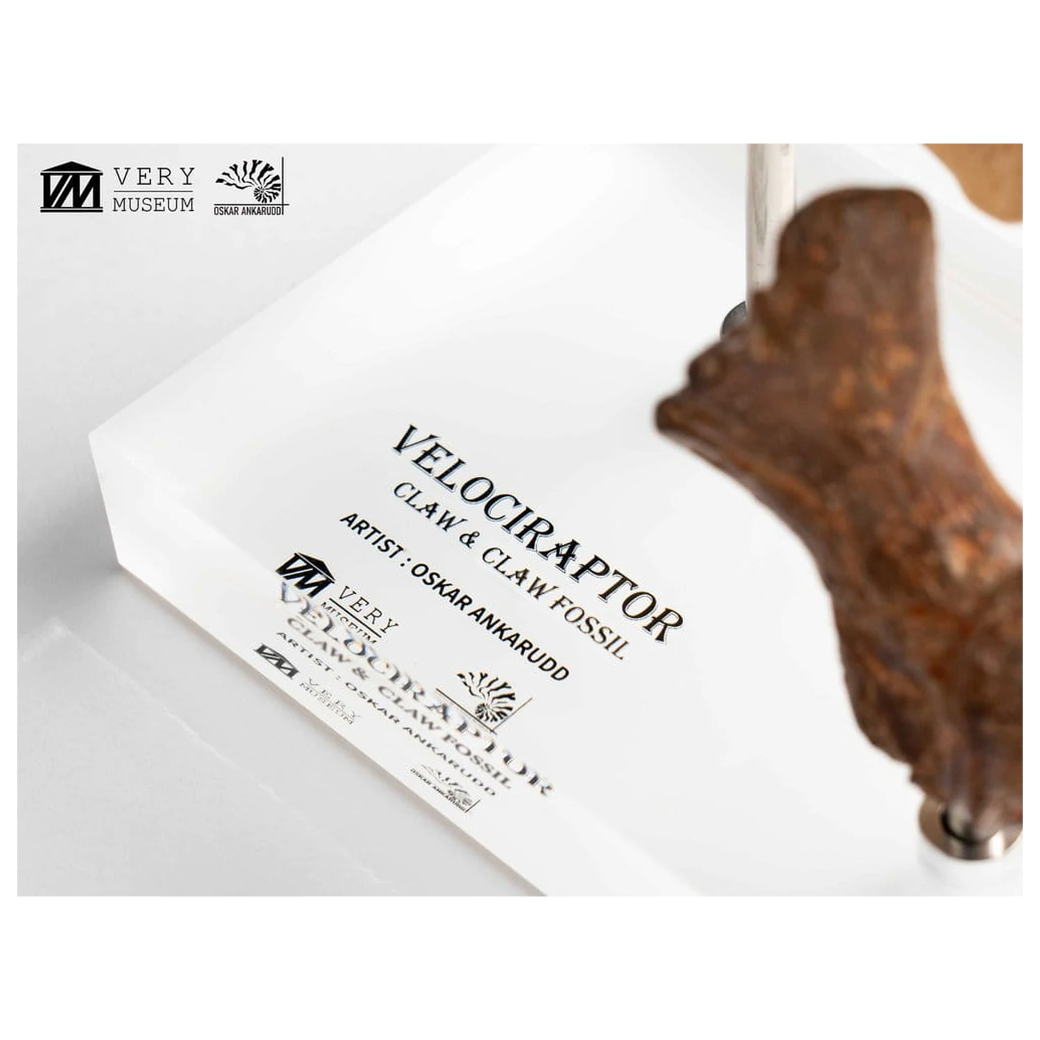 Jurassic Park ECC Elite Creature Line kip Velociraptor Foot Claw and Fossil Claw Set 20 cm fotografija izdelka