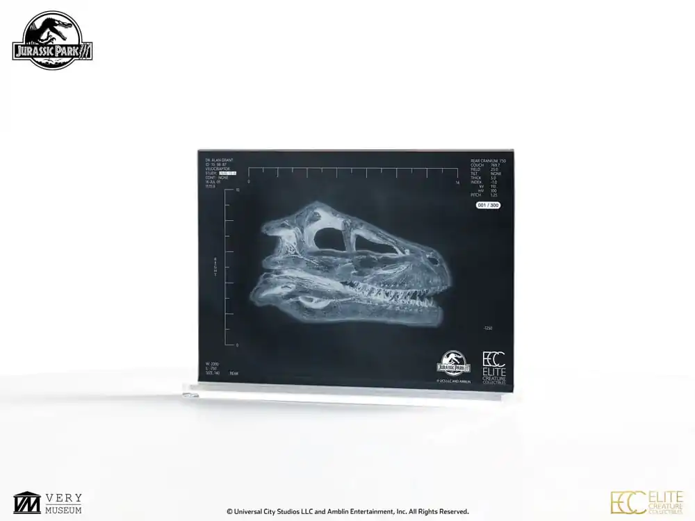 Jurassic Park III Replika rekvizita 1/1 Velociraptor Resonance Chamber 18 cm fotografija izdelka