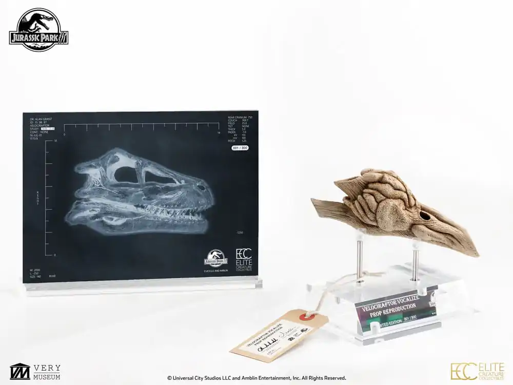 Jurassic Park III Replika rekvizita 1/1 Velociraptor Resonance Chamber 18 cm fotografija izdelka