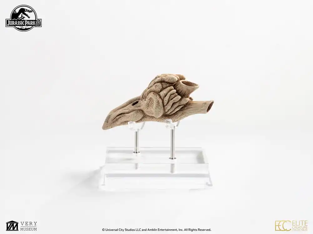 Jurassic Park III Replika rekvizita 1/1 Velociraptor Resonance Chamber 18 cm fotografija izdelka