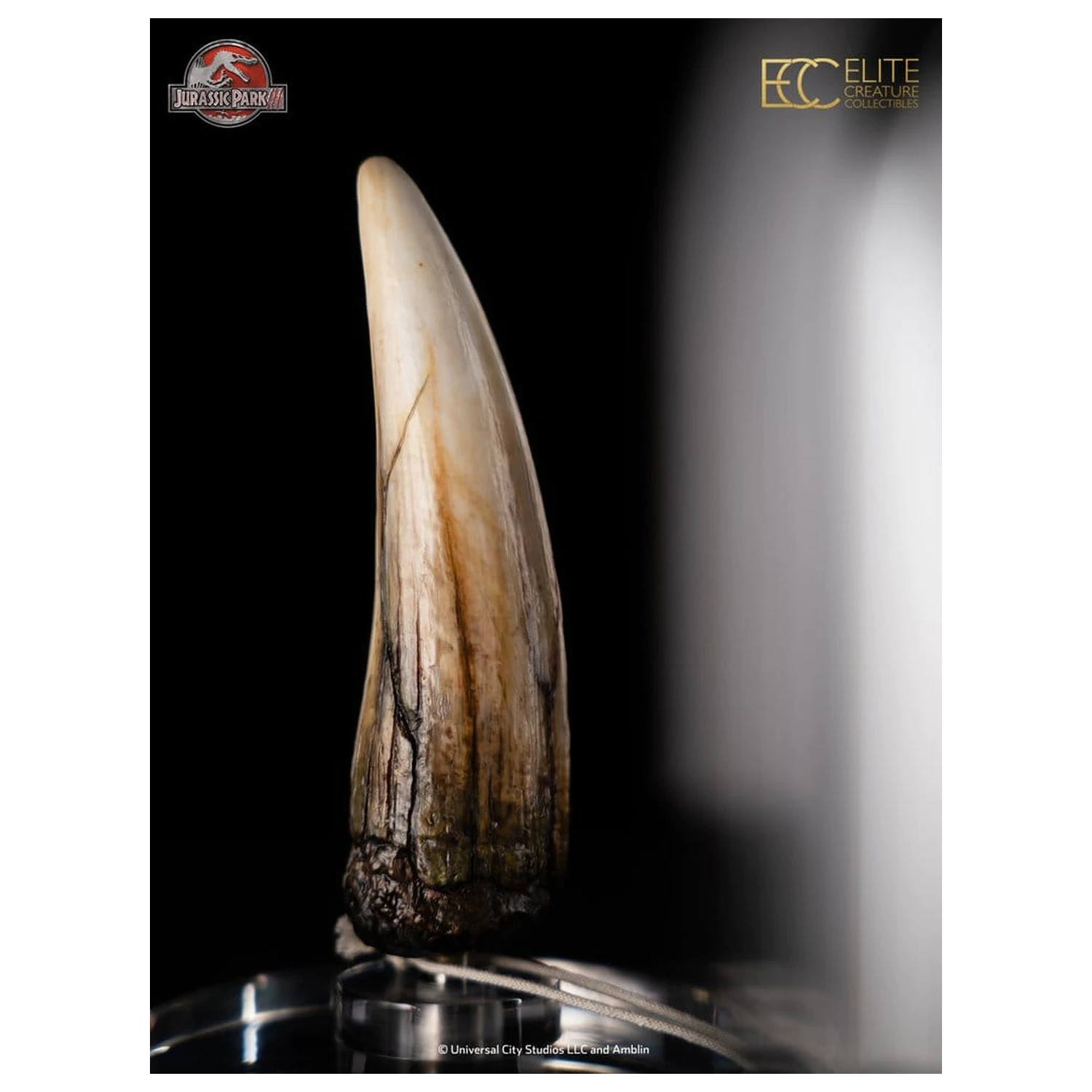 Jurassic Park III Replika rekvizita 1/1 zob Spinosaurusa 14 cm fotografija izdelka