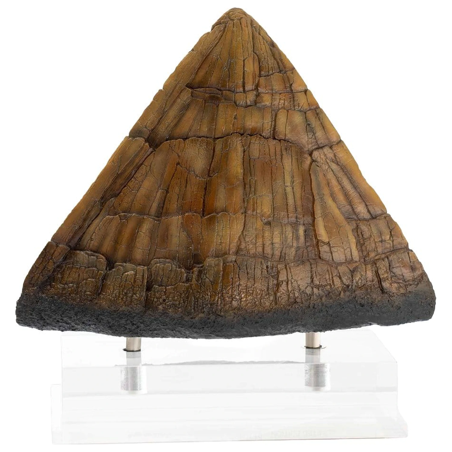 Jurassic Park Kip Triceratops Spike Prop (Reprodukcija) 19 cm fotografija izdelka