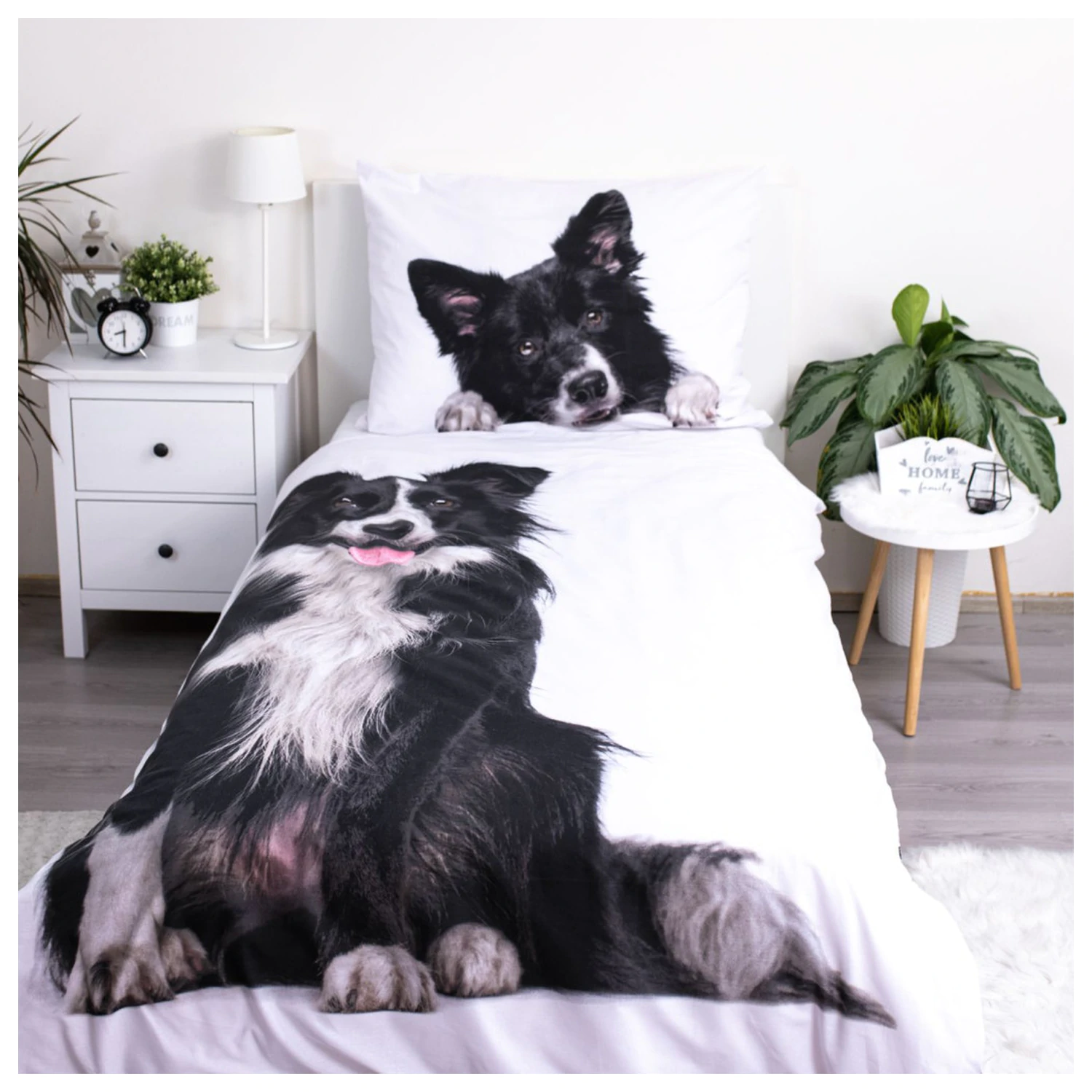 Dog Border Collie prevleka za odejo fotografija izdelka