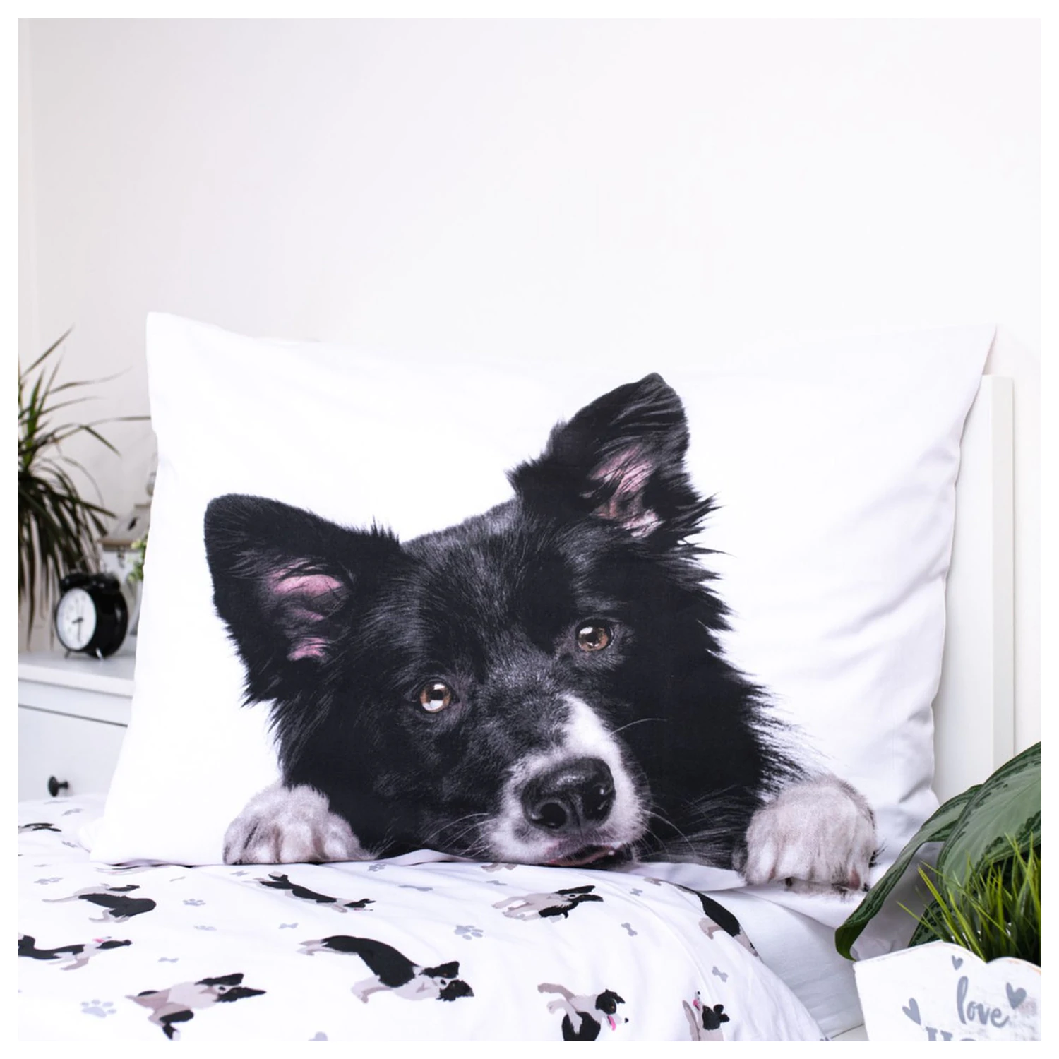 Dog Border Collie prevleka za odejo fotografija izdelka