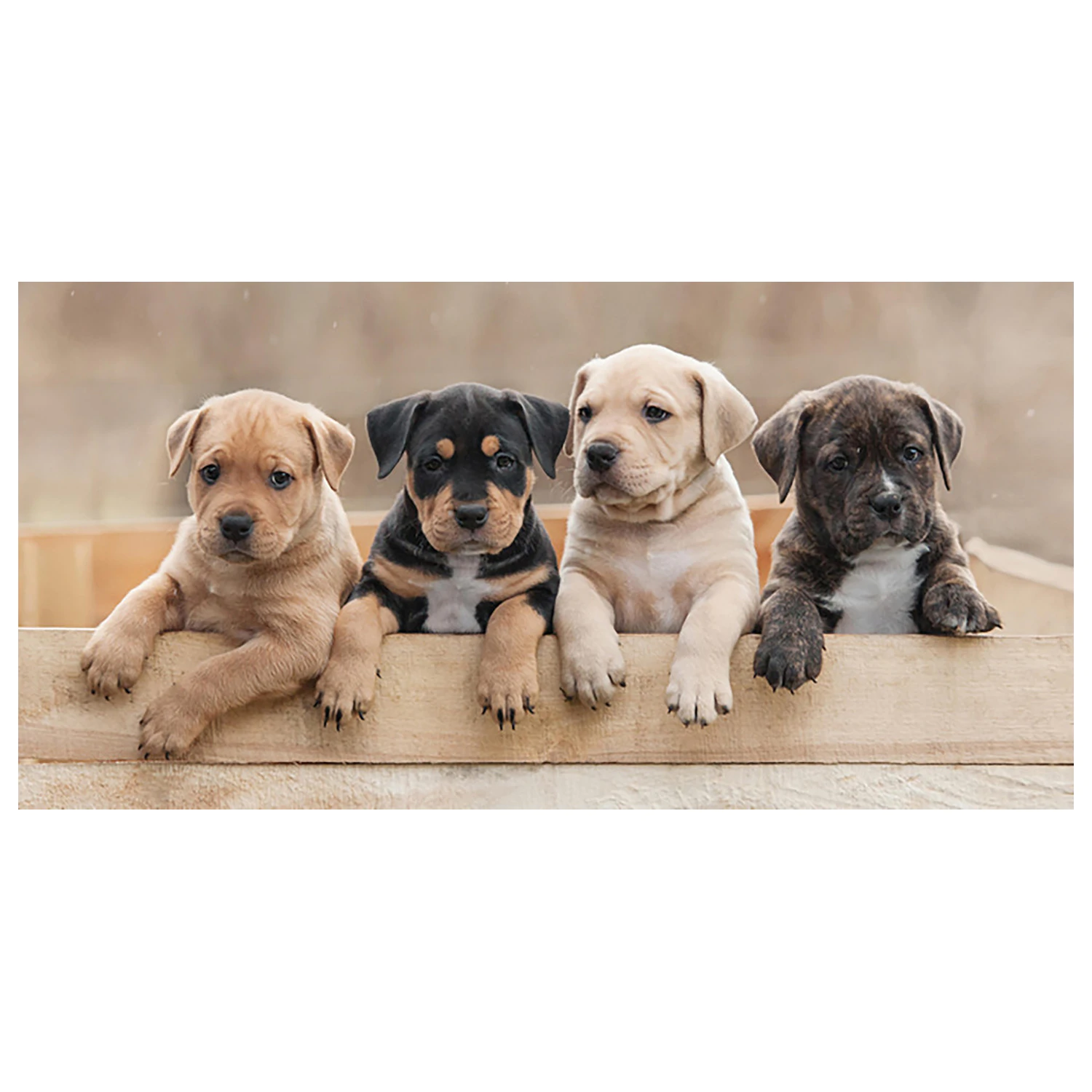 Dog Team brisača fotografija izdelka