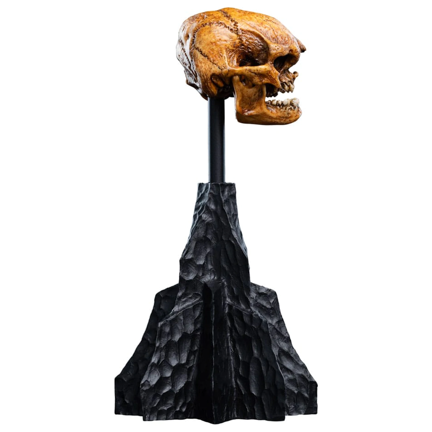 Lord of the Rings Mini Statua Lobanja Goblina Meglenih gora 14 cm fotografija izdelka